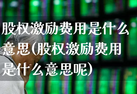 股权激励费用是什么意思(股权激励费用是什么意思呢)_https://www.gfdzclz.com_深交所_第1张
