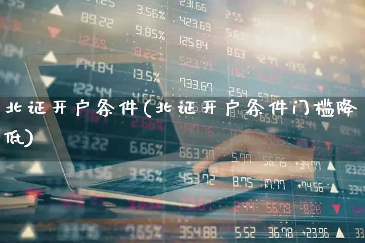 北证开户条件(北证开户条件门槛降低)_https://www.gfdzclz.com_深交所_第1张