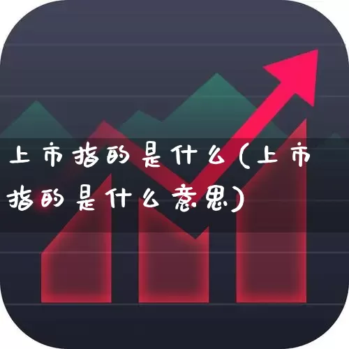 上市指的是什么(上市指的是什么意思)_https://www.gfdzclz.com_上交所_第1张