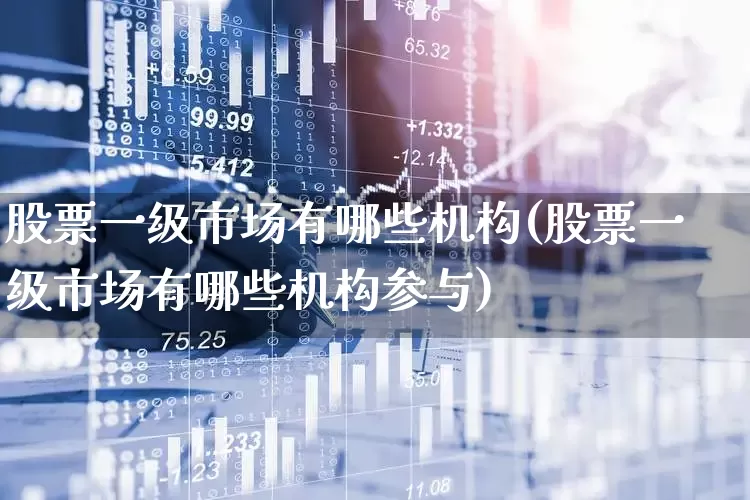 股票一级市场有哪些机构(股票一级市场有哪些机构参与)_https://www.gfdzclz.com_深交所_第1张