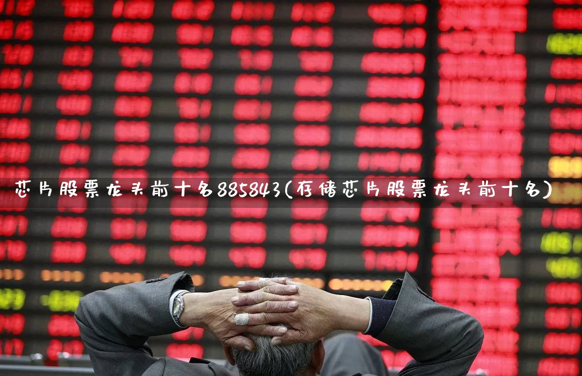 芯片股票龙头前十名885843(存储芯片股票龙头前十名)_https://www.gfdzclz.com_科创板_第1张