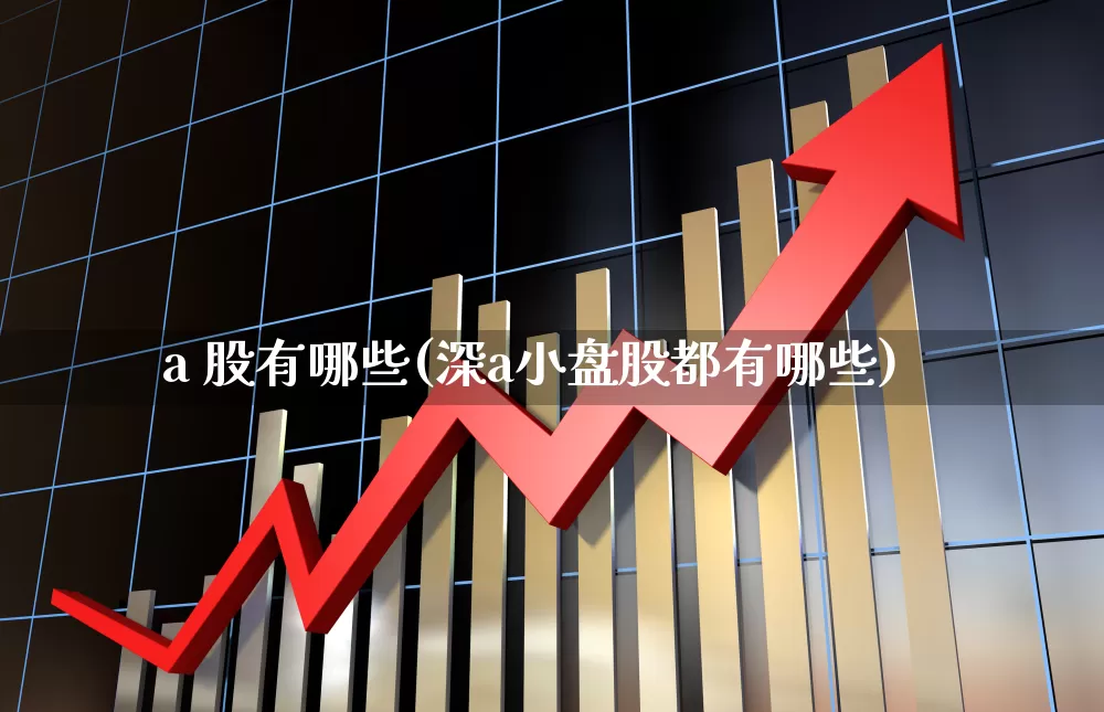 a 股有哪些(深a小盘股都有哪些)_https://www.gfdzclz.com_深交所_第1张