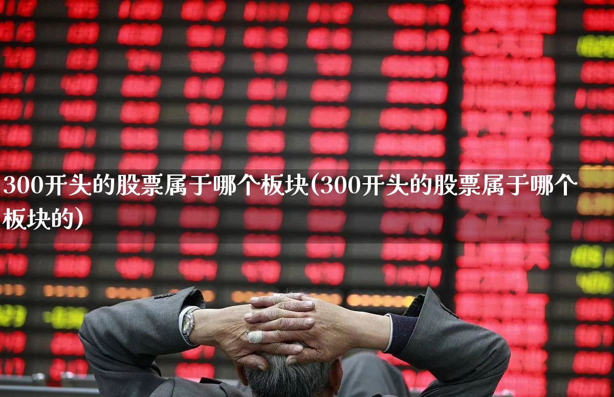 300开头的股票属于哪个板块(300开头的股票属于哪个板块的)_https://www.gfdzclz.com_创业板_第1张