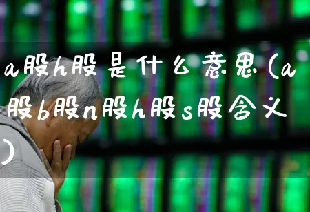 a股h股是什么意思(a股b股n股h股s股含义)_https://www.gfdzclz.com_上交所_第1张