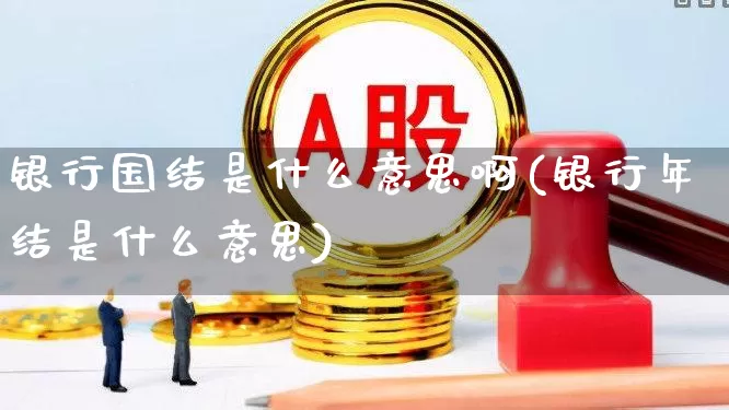 银行国结是什么意思啊(银行年结是什么意思)_https://www.gfdzclz.com_上交所_第1张