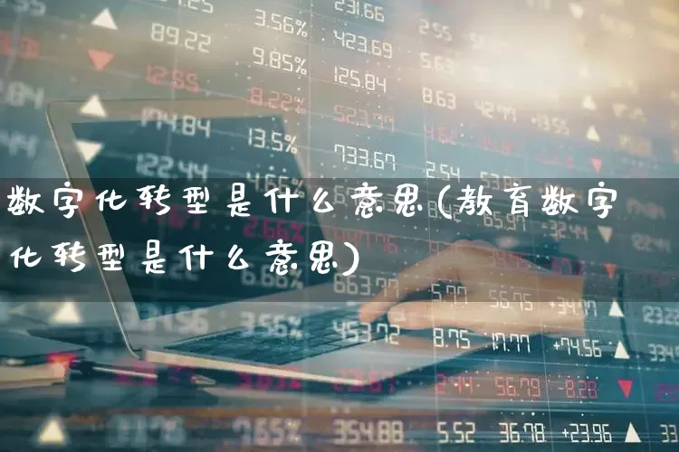 数字化转型是什么意思(教育数字化转型是什么意思)_https://www.gfdzclz.com_创业板_第1张