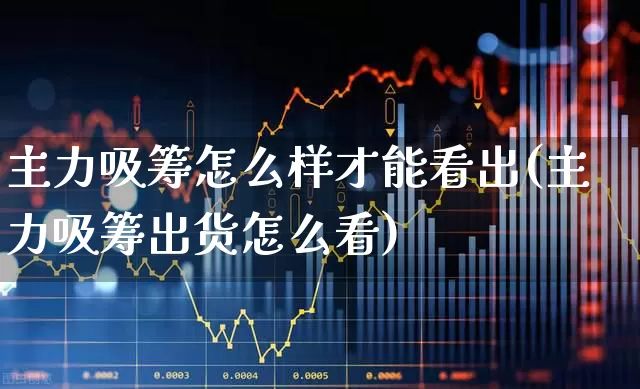 主力吸筹怎么样才能看出(主力吸筹出货怎么看)_https://www.gfdzclz.com_深交所_第1张