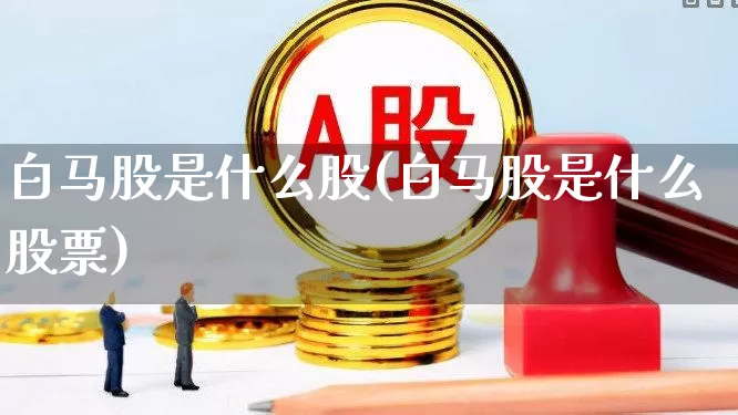 白马股是什么股(白马股是什么股票)_https://www.gfdzclz.com_创业板_第1张