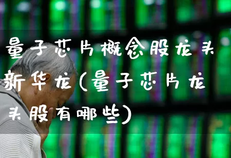 量子芯片概念股龙头新华龙(量子芯片龙头股有哪些)_https://www.gfdzclz.com_创业板_第1张