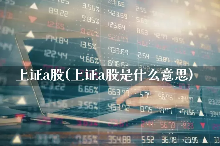 上证a股(上证a股是什么意思)_https://www.gfdzclz.com_创业板_第1张