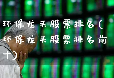 环保龙头股票排名(环保龙头股票排名前十)_https://www.gfdzclz.com_创业板_第1张