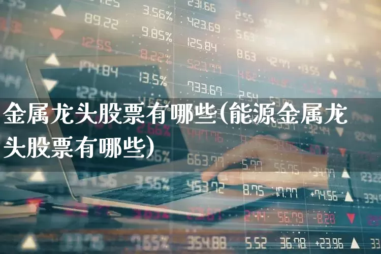 金属龙头股票有哪些(能源金属龙头股票有哪些)_https://www.gfdzclz.com_深交所_第1张
