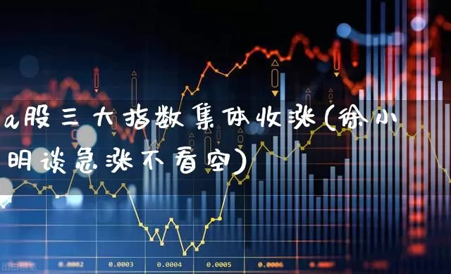 a股三大指数集体收涨(徐小明谈急涨不看空)_https://www.gfdzclz.com_上交所_第1张