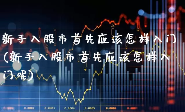 新手入股市首先应该怎样入门(新手入股市首先应该怎样入门呢)_https://www.gfdzclz.com_创业板_第1张