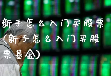 新手怎么入门买股票(新手怎么入门买股票基金)_https://www.gfdzclz.com_科创板_第1张
