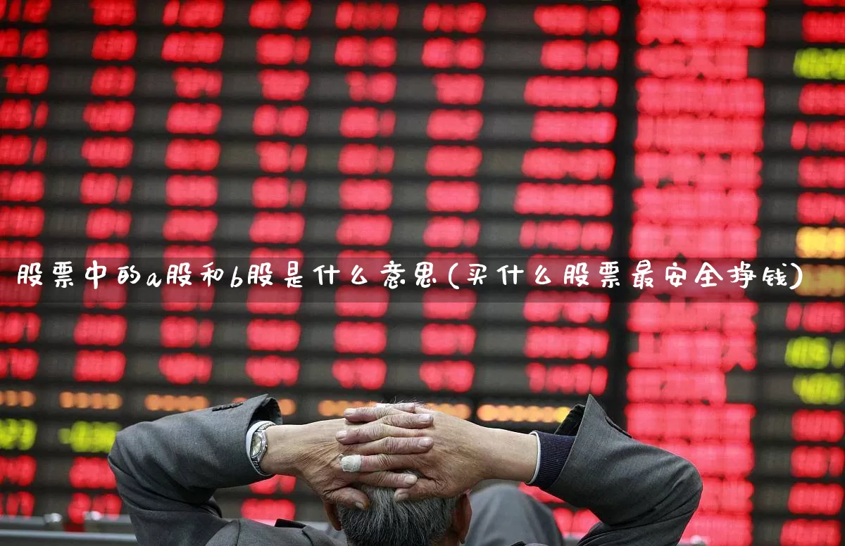 股票中的a股和b股是什么意思(买什么股票最安全挣钱)_https://www.gfdzclz.com_科创板_第1张