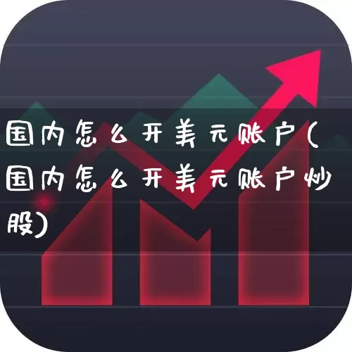 国内怎么开美元账户(国内怎么开美元账户炒股)_https://www.gfdzclz.com_上交所_第1张