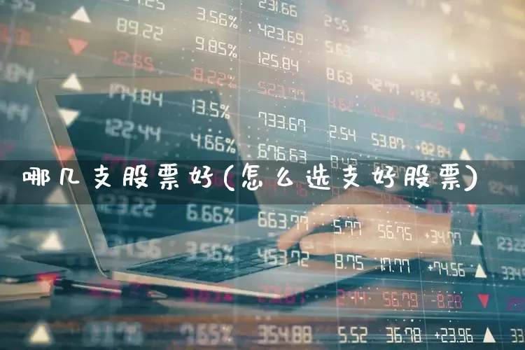 哪几支股票好(怎么选支好股票)_https://www.gfdzclz.com_科创板_第1张