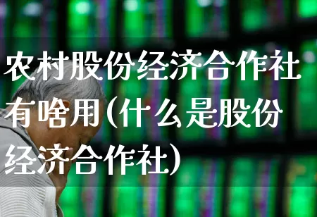 农村股份经济合作社有啥用(什么是股份经济合作社)_https://www.gfdzclz.com_上交所_第1张