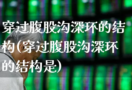 穿过腹股沟深环的结构(穿过腹股沟深环的结构是)_https://www.gfdzclz.com_深交所_第1张
