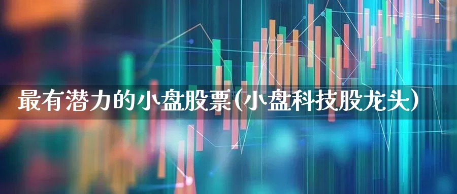 最有潜力的小盘股票(小盘科技股龙头)_https://www.gfdzclz.com_上交所_第1张