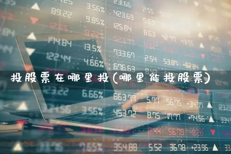 投股票在哪里投(哪里能投股票)_https://www.gfdzclz.com_深交所_第1张