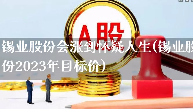 锡业股份会涨到怀疑人生(锡业股份2023年目标价)_https://www.gfdzclz.com_上交所_第1张