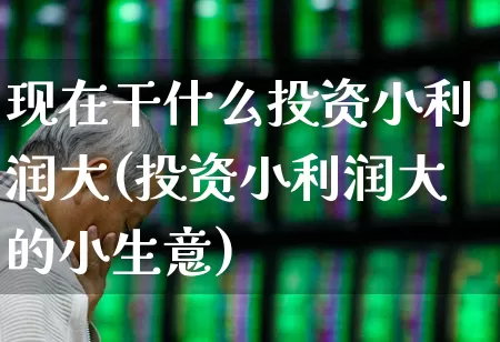 现在干什么投资小利润大(投资小利润大的小生意)_https://www.gfdzclz.com_科创板_第1张