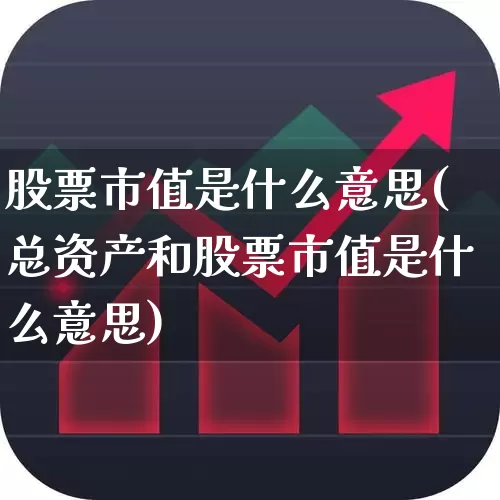 股票市值是什么意思(总资产和股票市值是什么意思)_https://www.gfdzclz.com_科创板_第1张