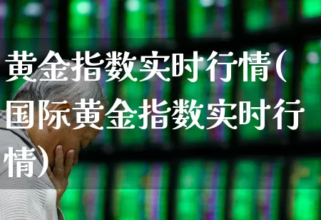 黄金指数实时行情(国际黄金指数实时行情)_https://www.gfdzclz.com_科创板_第1张