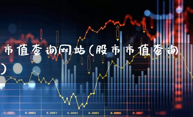 市值查询网站(股市市值查询)_https://www.gfdzclz.com_北交所_第1张