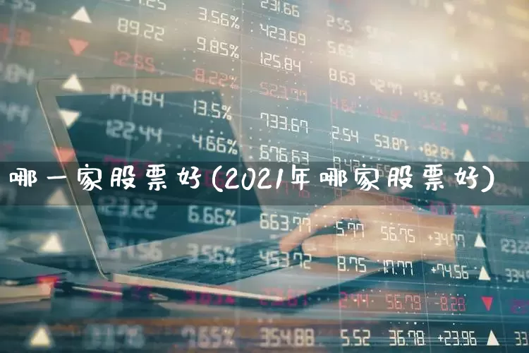 哪一家股票好(2021年哪家股票好)_https://www.gfdzclz.com_深交所_第1张