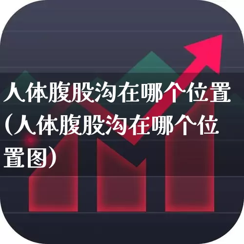 人体腹股沟在哪个位置(人体腹股沟在哪个位置图)_https://www.gfdzclz.com_北交所_第1张