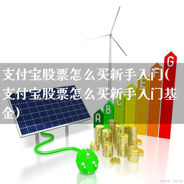 支付宝股票怎么买新手入门(支付宝股票怎么买新手入门基金)_https://www.gfdzclz.com_上交所_第1张