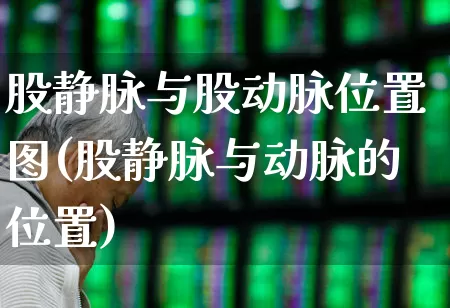 股静脉与股动脉位置图(股静脉与动脉的位置)_https://www.gfdzclz.com_上交所_第1张