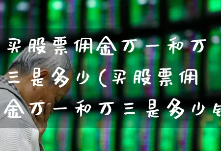 买股票佣金万一和万三是多少(买股票佣金万一和万三是多少钱啊)_https://www.gfdzclz.com_上交所_第1张