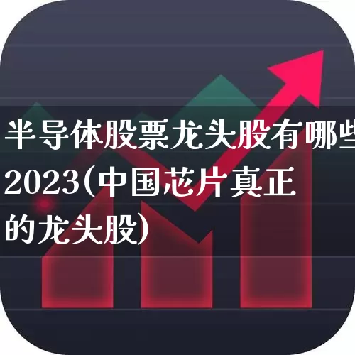 半导体股票龙头股有哪些2023(中国芯片真正的龙头股)_https://www.gfdzclz.com_科创板_第1张