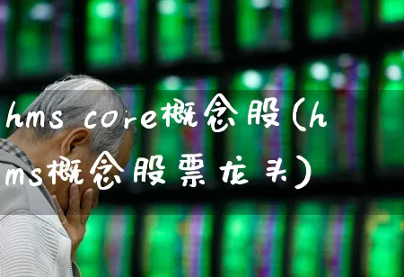 hms core概念股(hms概念股票龙头)_https://www.gfdzclz.com_创业板_第1张