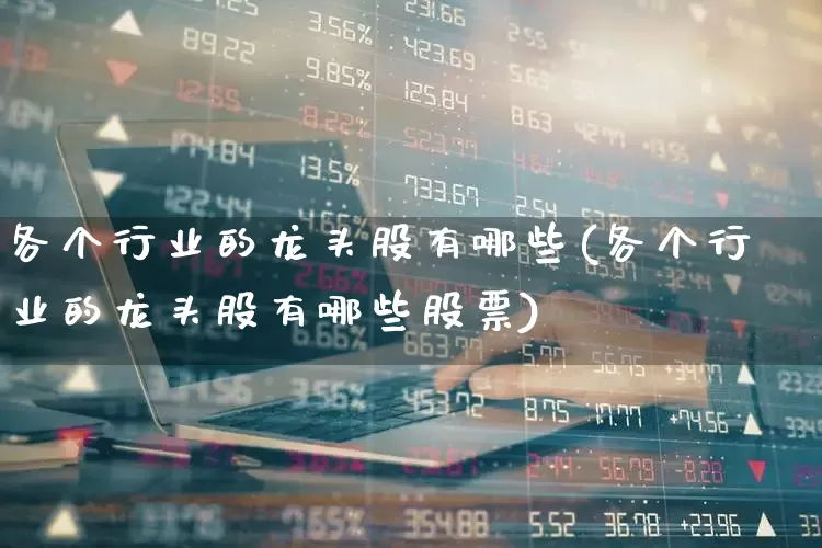 各个行业的龙头股有哪些(各个行业的龙头股有哪些股票)_https://www.gfdzclz.com_科创板_第1张