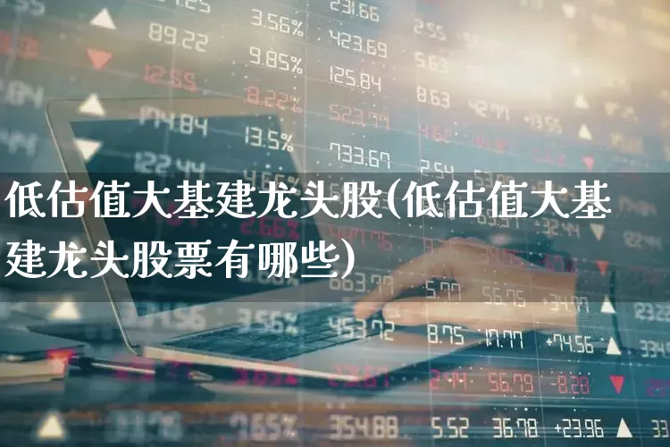 低估值大基建龙头股(低估值大基建龙头股票有哪些)_https://www.gfdzclz.com_创业板_第1张
