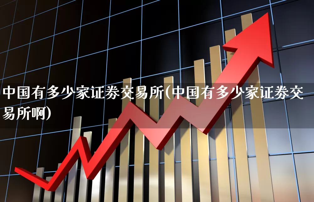 中国有多少家证劵交易所(中国有多少家证劵交易所啊)_https://www.gfdzclz.com_科创板_第1张