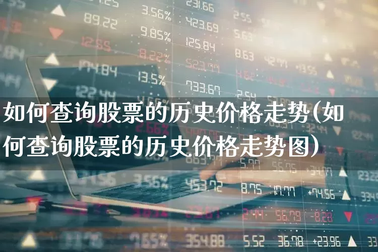 如何查询股票的历史价格走势(如何查询股票的历史价格走势图)_https://www.gfdzclz.com_科创板_第1张