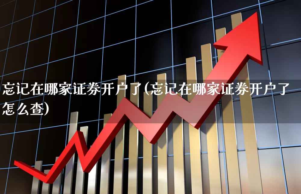 忘记在哪家证券开户了(忘记在哪家证券开户了怎么查)_https://www.gfdzclz.com_科创板_第1张