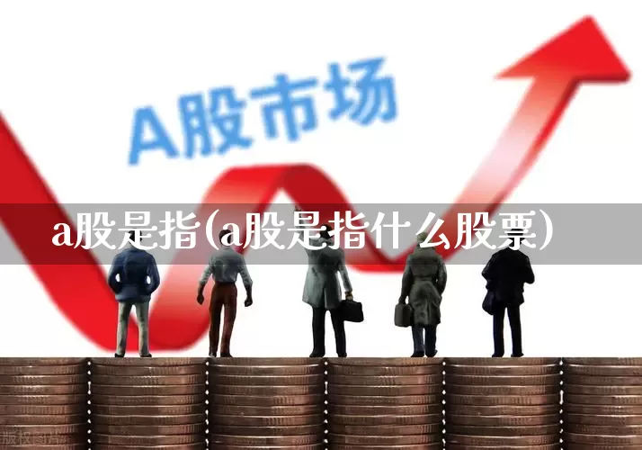 a股是指(a股是指什么股票)_https://www.gfdzclz.com_北交所_第1张