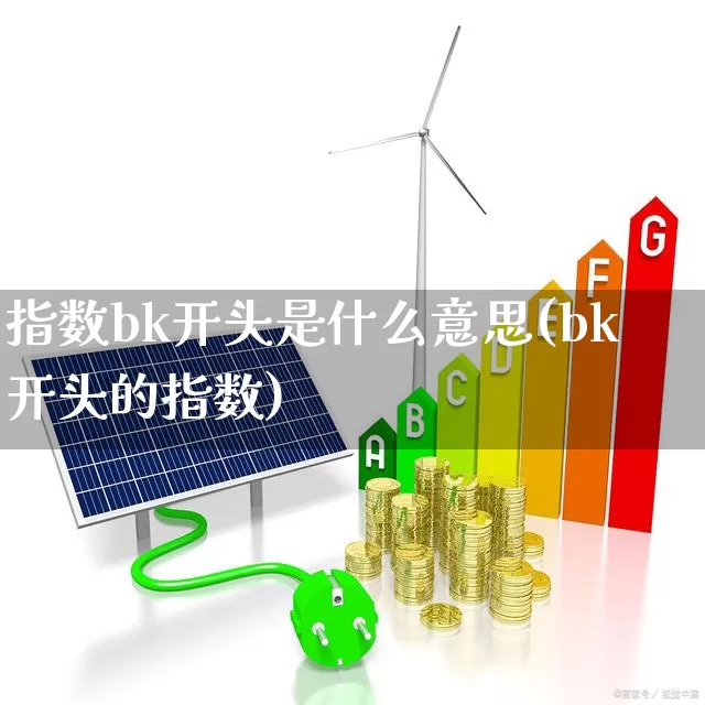 指数bk开头是什么意思(bk开头的指数)_https://www.gfdzclz.com_上交所_第1张