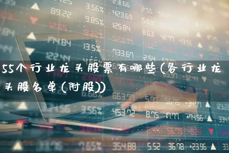 55个行业龙头股票有哪些(各行业龙头股名单(附股))_https://www.gfdzclz.com_深交所_第1张