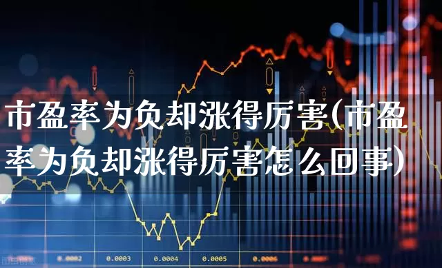 市盈率为负却涨得厉害(市盈率为负却涨得厉害怎么回事)_https://www.gfdzclz.com_创业板_第1张