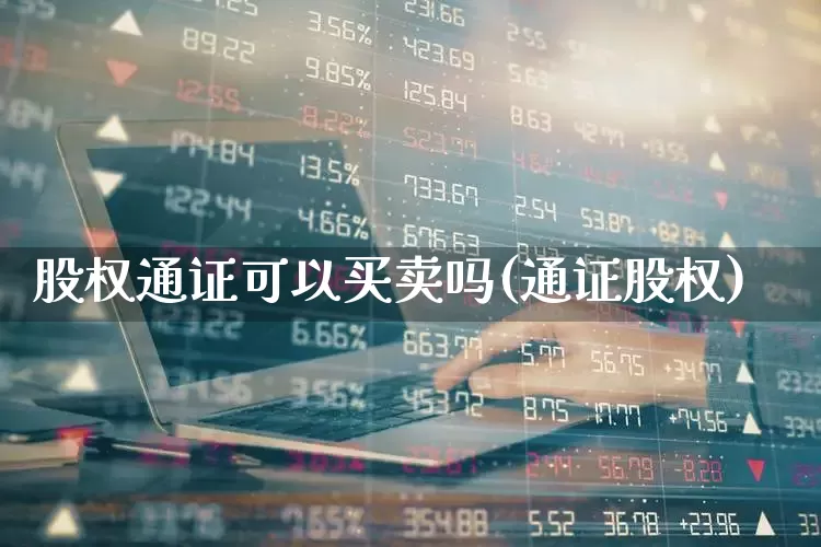 股权通证可以买卖吗(通证股权)_https://www.gfdzclz.com_北交所_第1张