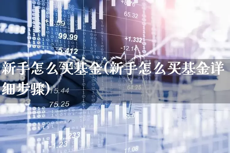 新手怎么买基金(新手怎么买基金详细步骤)_https://www.gfdzclz.com_创业板_第1张