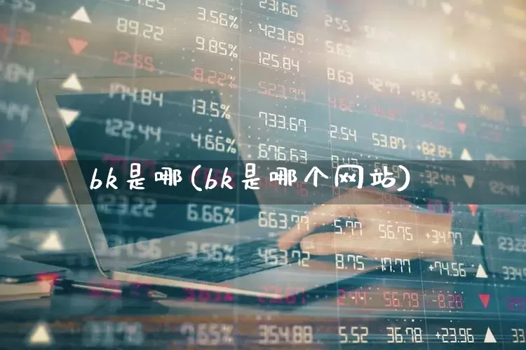bk是哪(bk是哪个网站)_https://www.gfdzclz.com_北交所_第1张